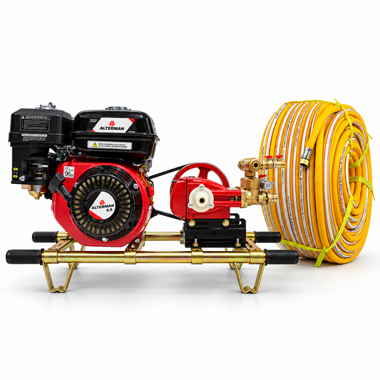 Estacionaria 25L, motor 6.5 HP sin graseras, Automatica Alterman