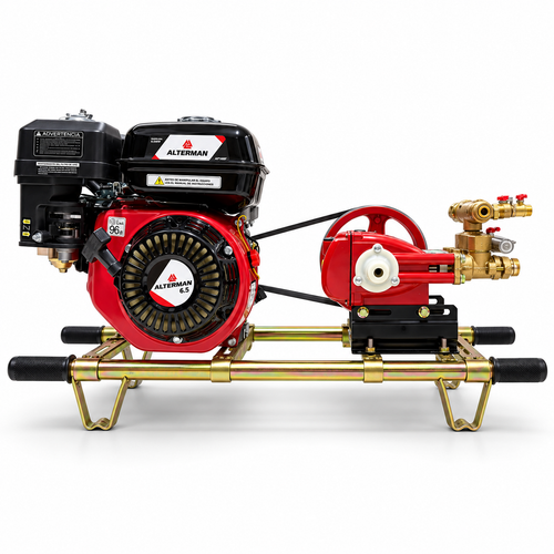 Estacionaria 25L, motor 6.5 HP sin graseras, Automatica Alterman