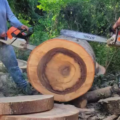 MOTOSIERRA STIHL MS 651